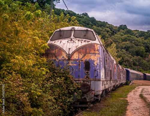 Beautiful vintage blue train abandoned by the woods