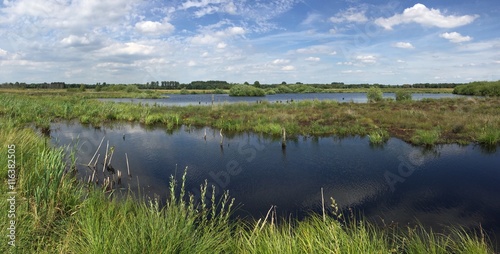 Torfmoor im Panorama