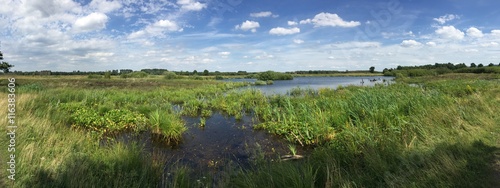 Moorgebiet im Panorama