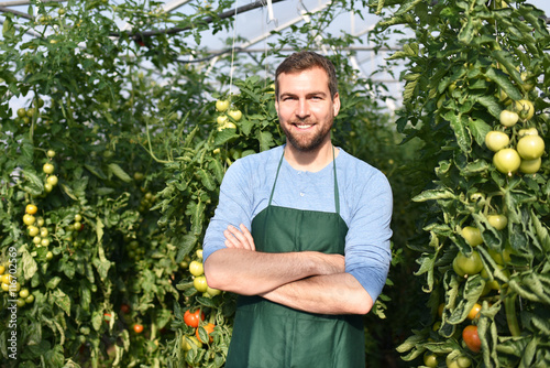 erfolgreicher Bauer im Gewächshaus mit Tomatenpflanzen // successful farmer in a greenhouse with tomato plants