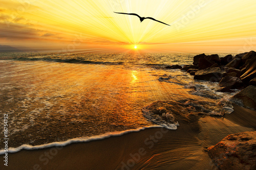 Bird Flight Sunset Surreal Inspirational Divine Soaring Flying Hope Image