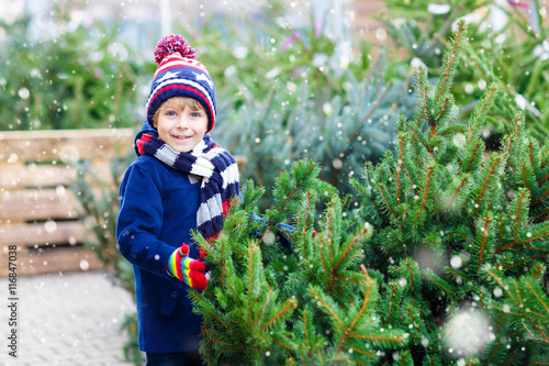 beautiful smiling little boy holding christmas tree