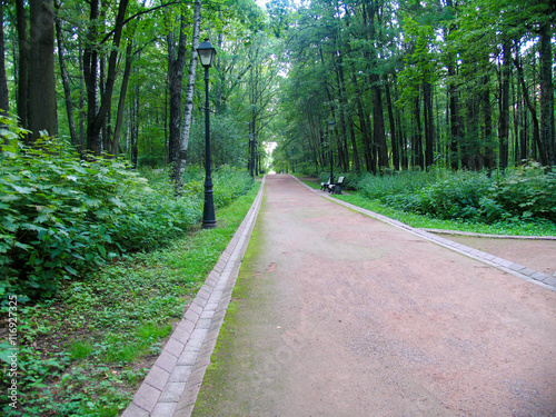 Moscow park running path