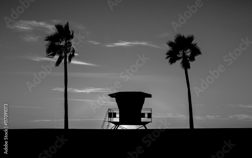 Lifeguard Tower in black and white - The Lifeguard Tower and Palm Tree on the Beach in monochrome