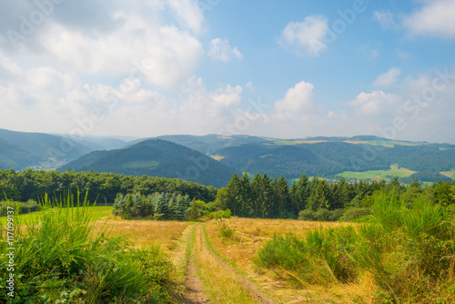 Hills of the Eifel National Park in summer