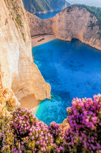 Navagio beach with shipwreck and flowers on Zakynthos island in Greece