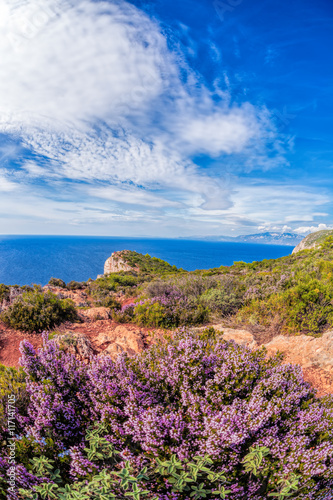 Coast of Zakynthos island with flowers in Greece