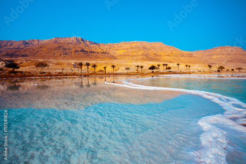 Dead Sea seashore with palm trees and mountains on background