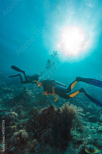 Scuba Divers near Sea Bottom