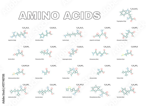 Amino acids set