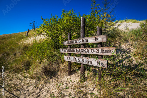 The dunes of the Slowinski national park in Poland