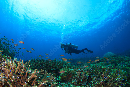 Scuba dive. Coral reef underwater and female scuba diver