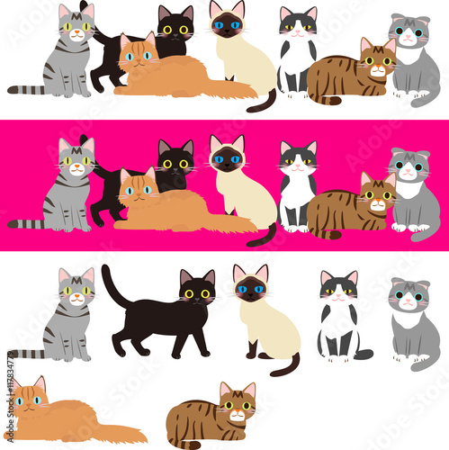 様々な種類の猫のイラストセット