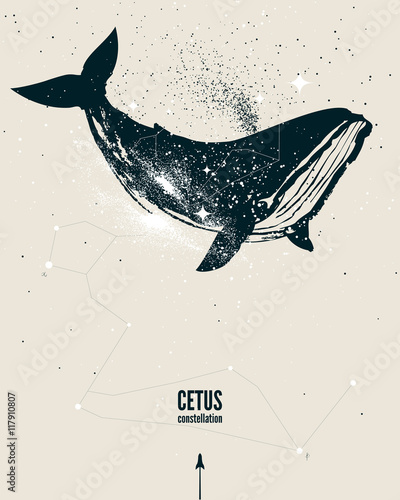 Whale constellation space poster