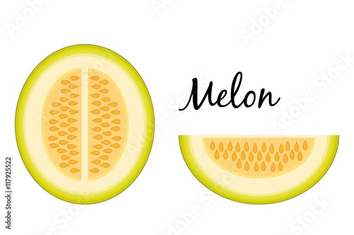 Slice and a half melon isolated on white background