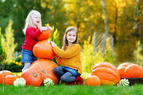 Two pretty little sisters having fun together on a pumpkin patch