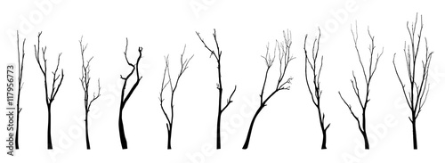 vector black silhouette of a bare tree
