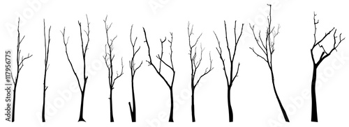 vector black silhouette of a bare tree