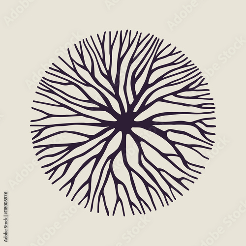 Concept tree branch circle shape illustration