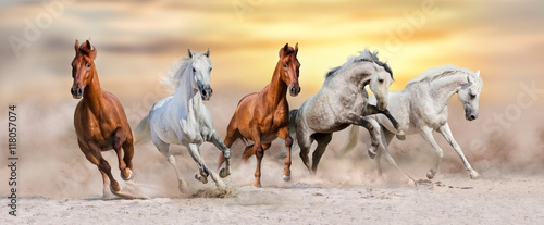 Końskie stado biegnie szybko w pustynnym pyle przeciw dramatycznemu zmierzchu niebu