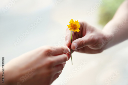 Flower and human hands on blurred background