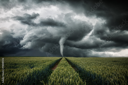 Tornado wütet über eine Landschaft - Unwetter über Getreidefeld