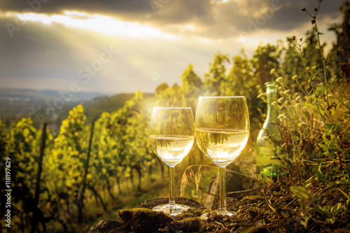 Weißweingläser im Weinberg bei Sonnenuntergang