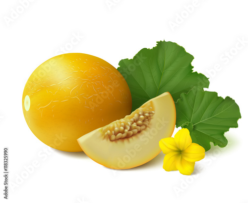 Yellow round melon with slice, flower and leaves on white background