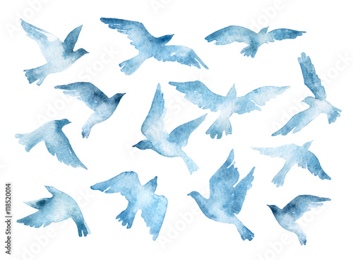 Flying bird silhouettes with watercolor texture isolated on white background