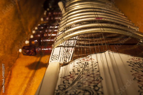 Instrument case with Sitar, a string traditional Indian musical