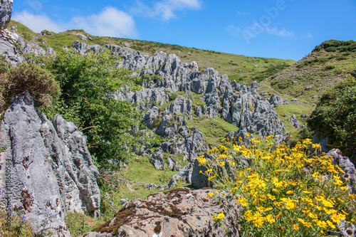 Parque Nacional de los Picos de Europa (Picos d’Europa) Asturies (Asturien, Asturias) Spanien (España)