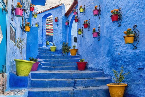 Blue staircase and wall decorated with colourful flowerpots, Chefchaouen medina in Morocco.