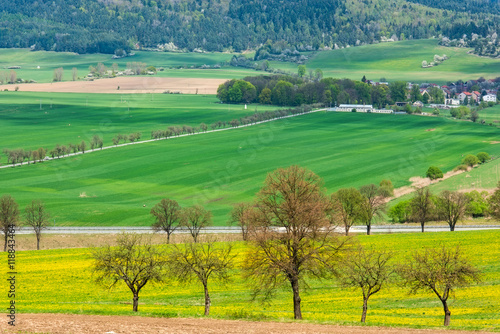 Rural landscape with colorful agricultural fields