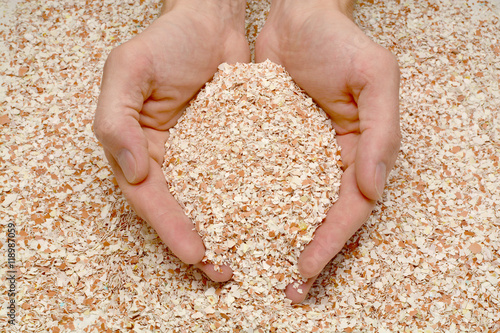  handful of eggshell in male hands