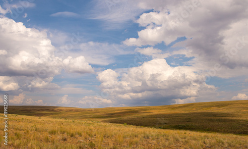 Upland bunchgrass prairie with blue sky and clouds