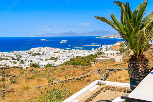 View of Mykonos port with palm tree in foreground, Mykonos islan