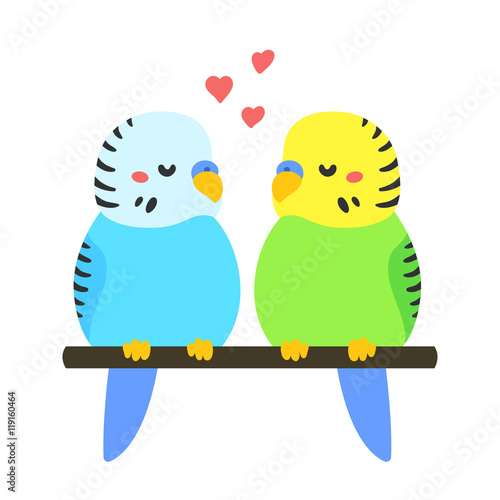 Cartoon Parakeets couple