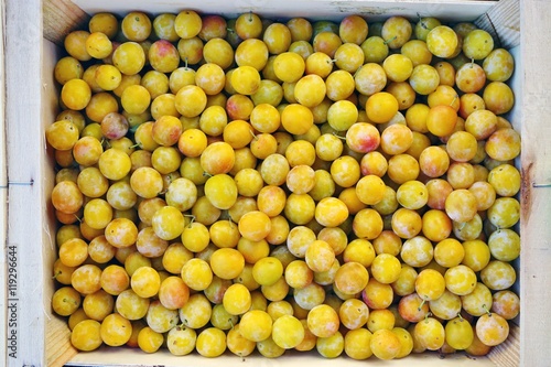 Yellow mirabelle plums at a French farmers market