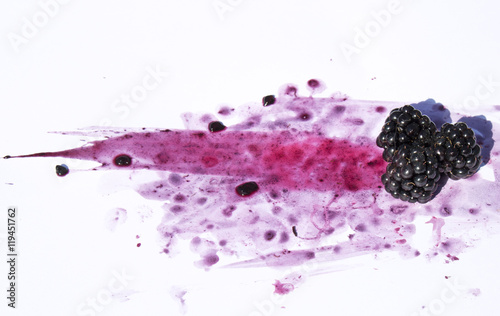 Blackberries Crushed and Squashed on White Background