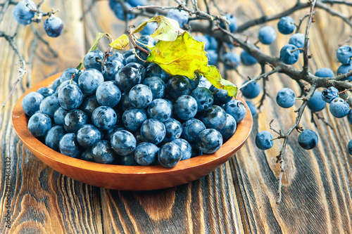 Autumn still life with blackthorn branches, leaves and fresh juicy ripe berries in a bowl on a wooden table. (Prunus spinosa or sloe)