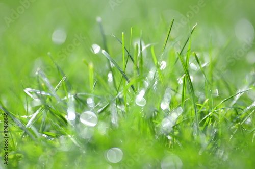 zbliżenie rosy na trawie z efektem bokeh