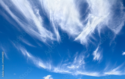 Blue sky with cirrus clouds. The clouds occur at very high altitudes, when a warm or occluded front and rain is approaching. They are very high in the troposphere.