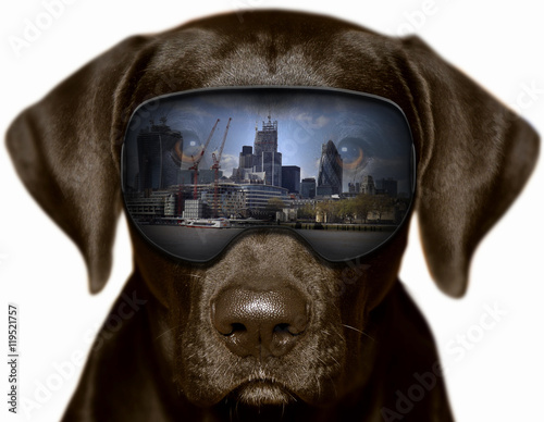 Czarny pies w Londynie, fotomontaż 