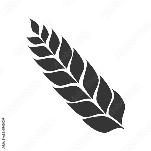 icon leaf malt beer isolated vector illustration eps 10