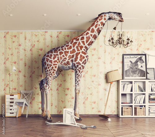 giraffe in the living room