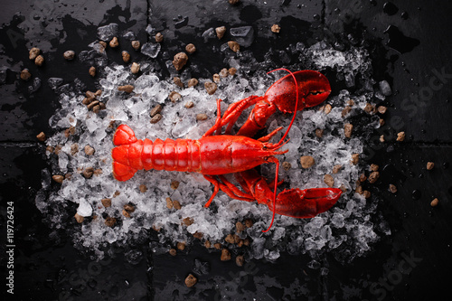 Red lobster with ice and lime,Top view of fresh Lobster