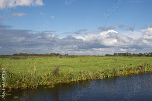 Typical Dutch green landscape with cloudy sky 