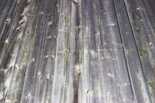 texture of wood