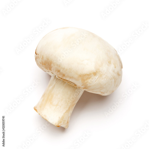 champignon mushroom isolated on white