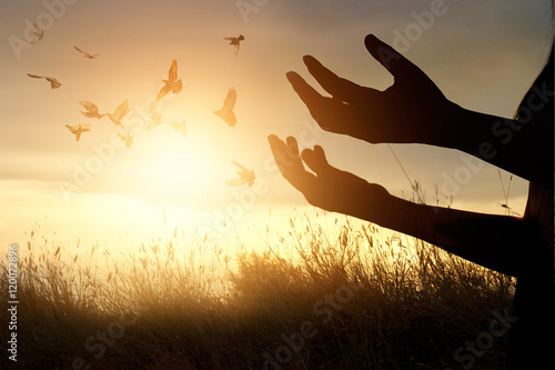 Woman praying and free bird enjoying nature on sunset background